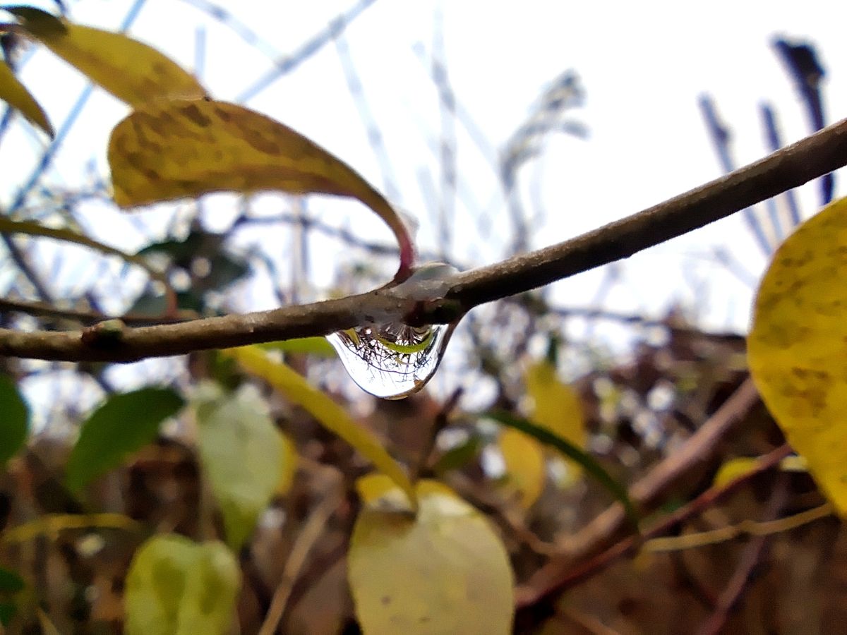 Fotografos Zorrra, Fotos do tempo em Kladow - Weawow