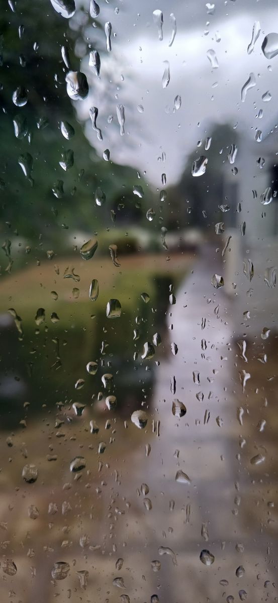 Photographer Lolli, Weather Photos in Maidstone - Weawow