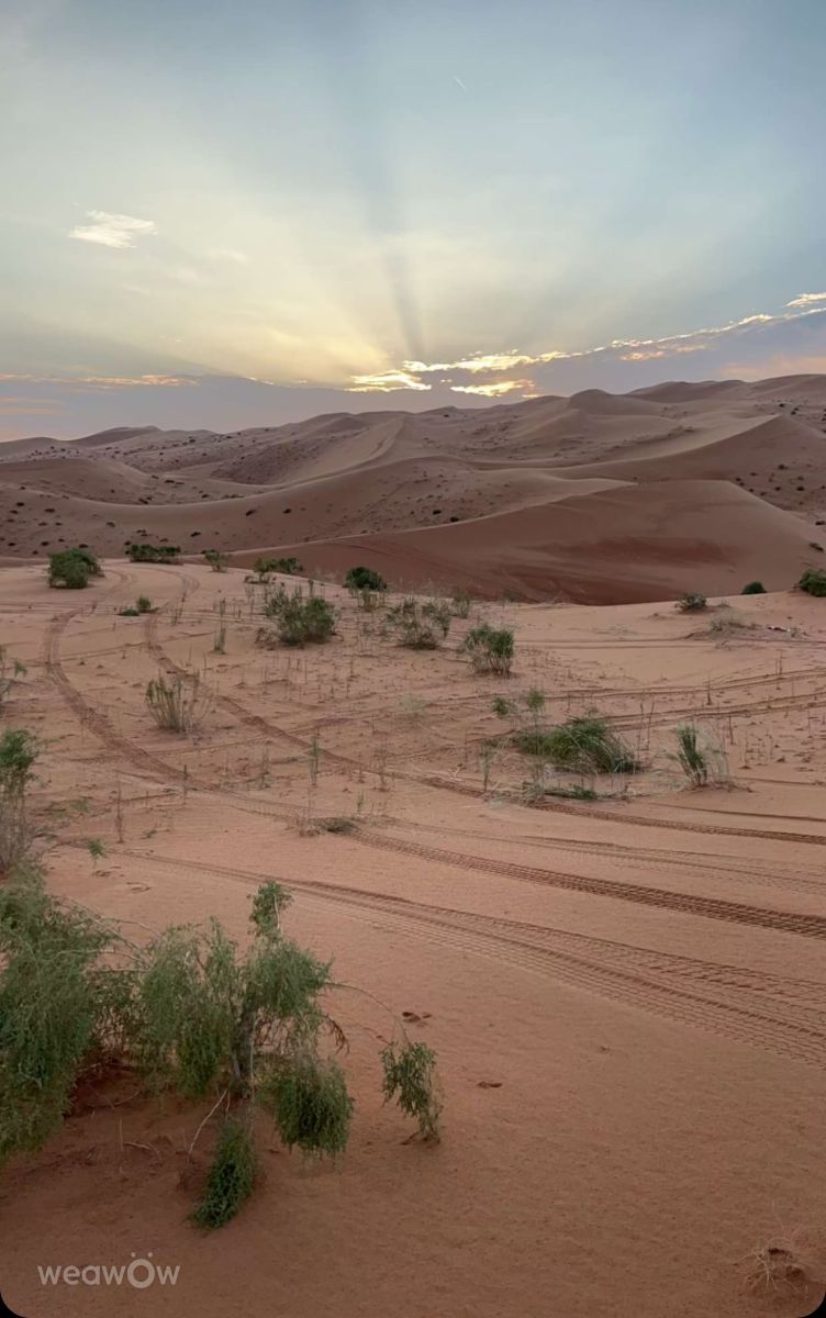 Fotos sobre el clima en Provincia de Riad. Pronósticos del tiempo con hermosas fotos de ahmed5527