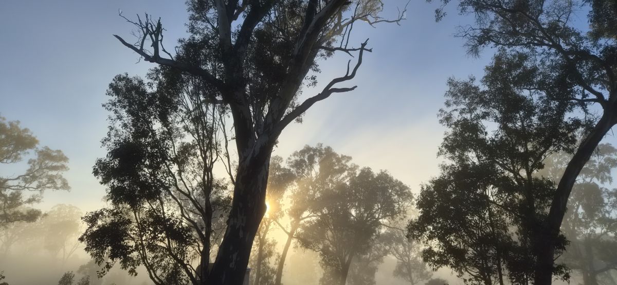 Weather forecasts with beautiful photos by AussieFarm