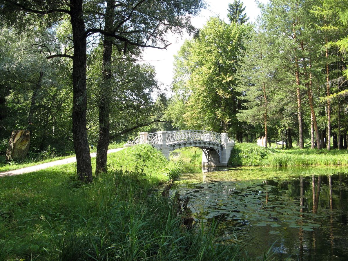 Leningrad的天气照片. 天气预报，带19Lora46精美的照片