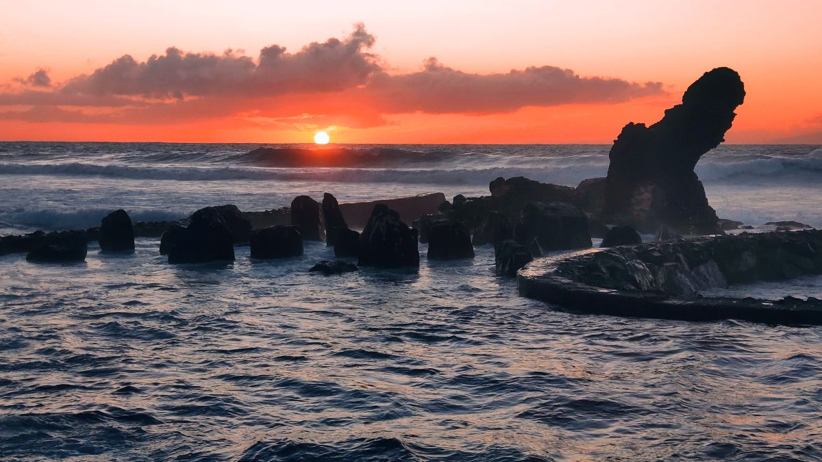 Photographe newgen, Photos météo à Playa de las Americas - Weawow