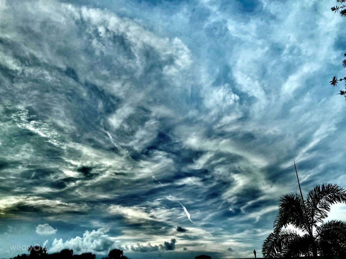 Weather Photos in Port Saint Lucie. Weather forecasts with beautiful photos by FaeryInFlorida