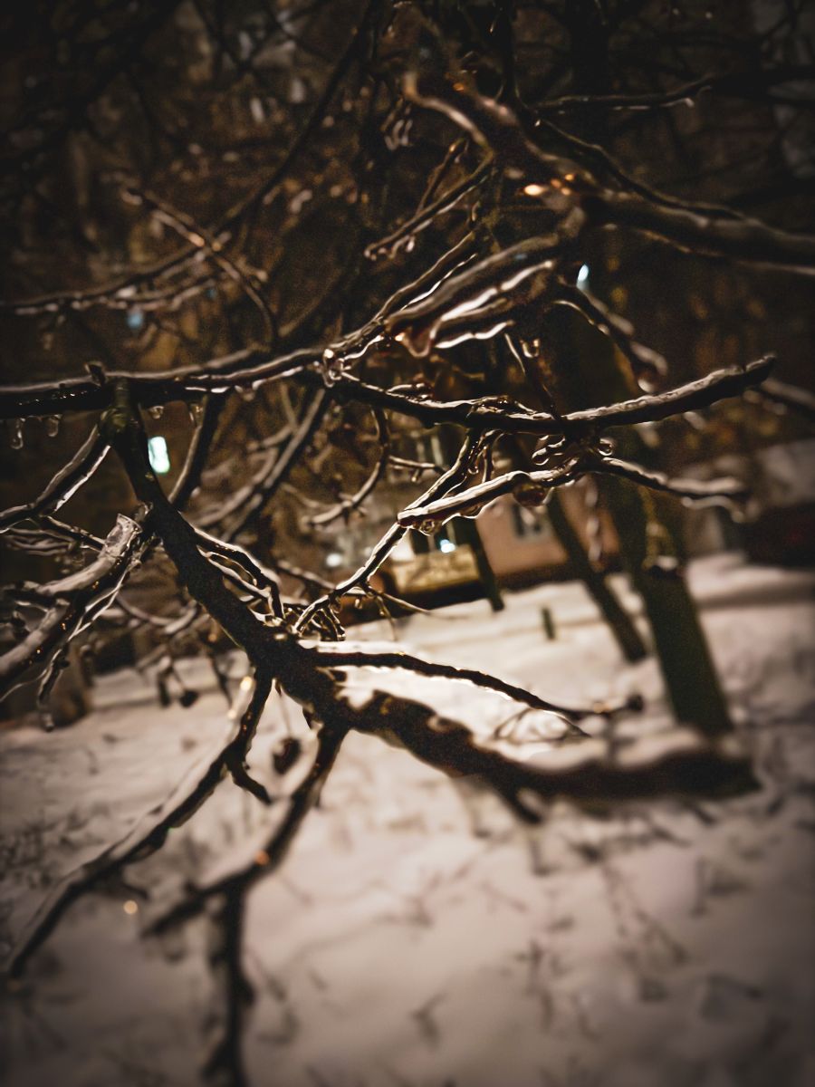 Photographer _veronikatis_, Weather Photos in Kyiv - Weawow