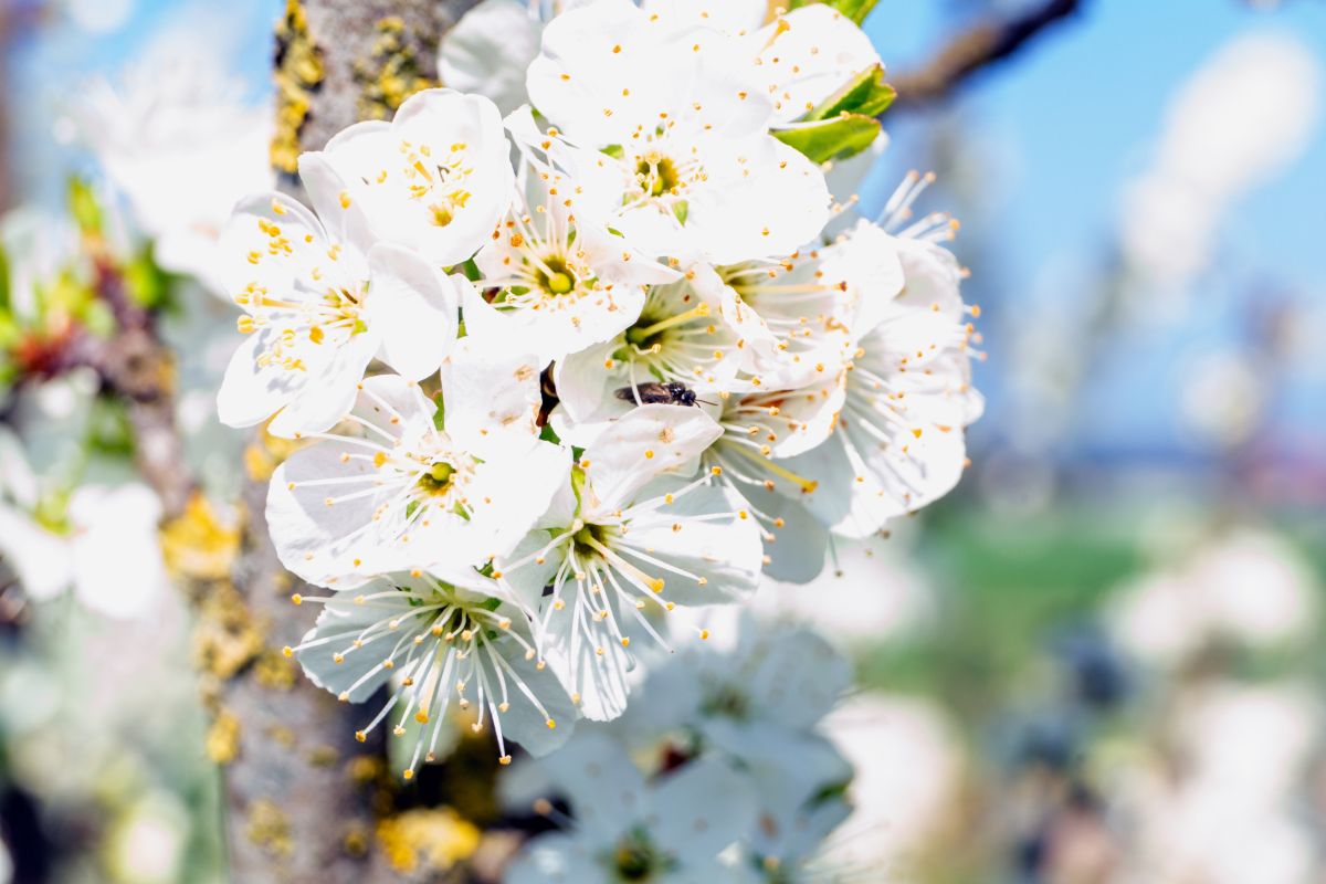 Weather Photos in Achterveld. Weather forecasts with beautiful photos by Fon_Tunnissen