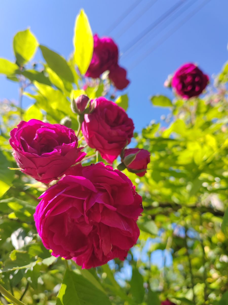 Weather Photos in Krasnodarskiy Kray. Weather forecasts with beautiful photos by Albert_Smelovtsev
