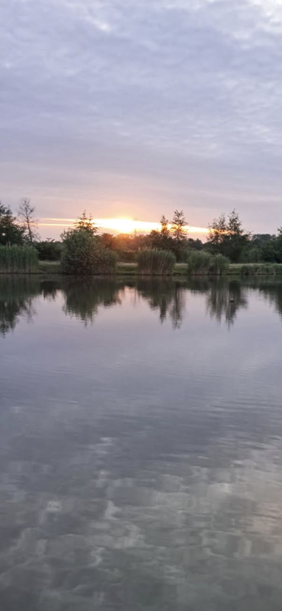 Weather Photos in Zalesie Górne. Weather forecasts with beautiful photos by Beatka