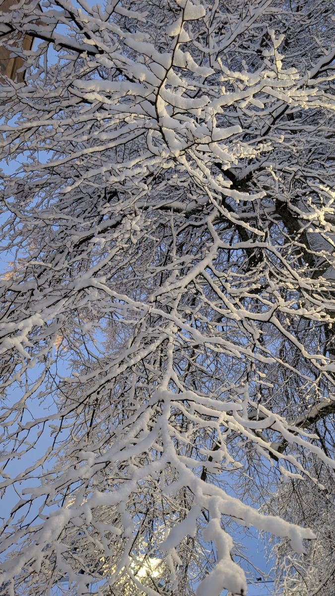 Фотографии Погоды в Швеция. Прогнозы погоды с чудесными фотографиями, сделанными BSilvana