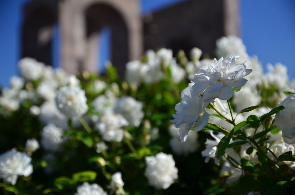 Fotos do tempo em Vagharshapat. Previsões do tempo com lindas fotos de Andrey72