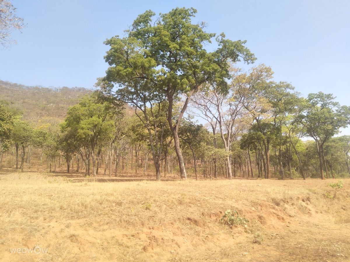 Weather Photos in Malawi. Weather forecasts with beautiful photos by Eastern Soundz
