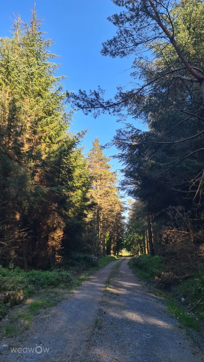 Weather Photos in Ireland. Weather forecasts with beautiful photos by Giz