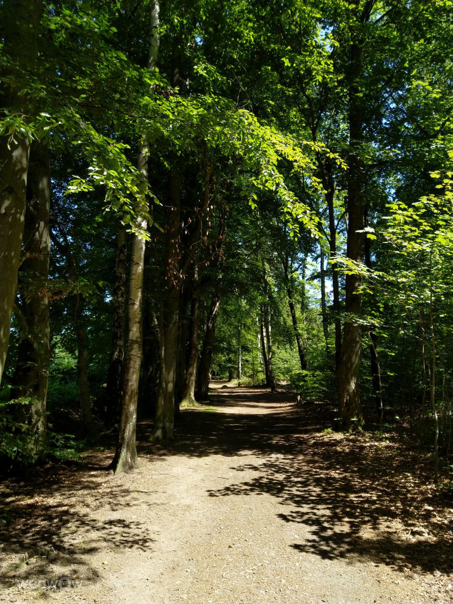 Fotos do tempo em Freiberga. Previsões do tempo com lindas fotos de Kastramania