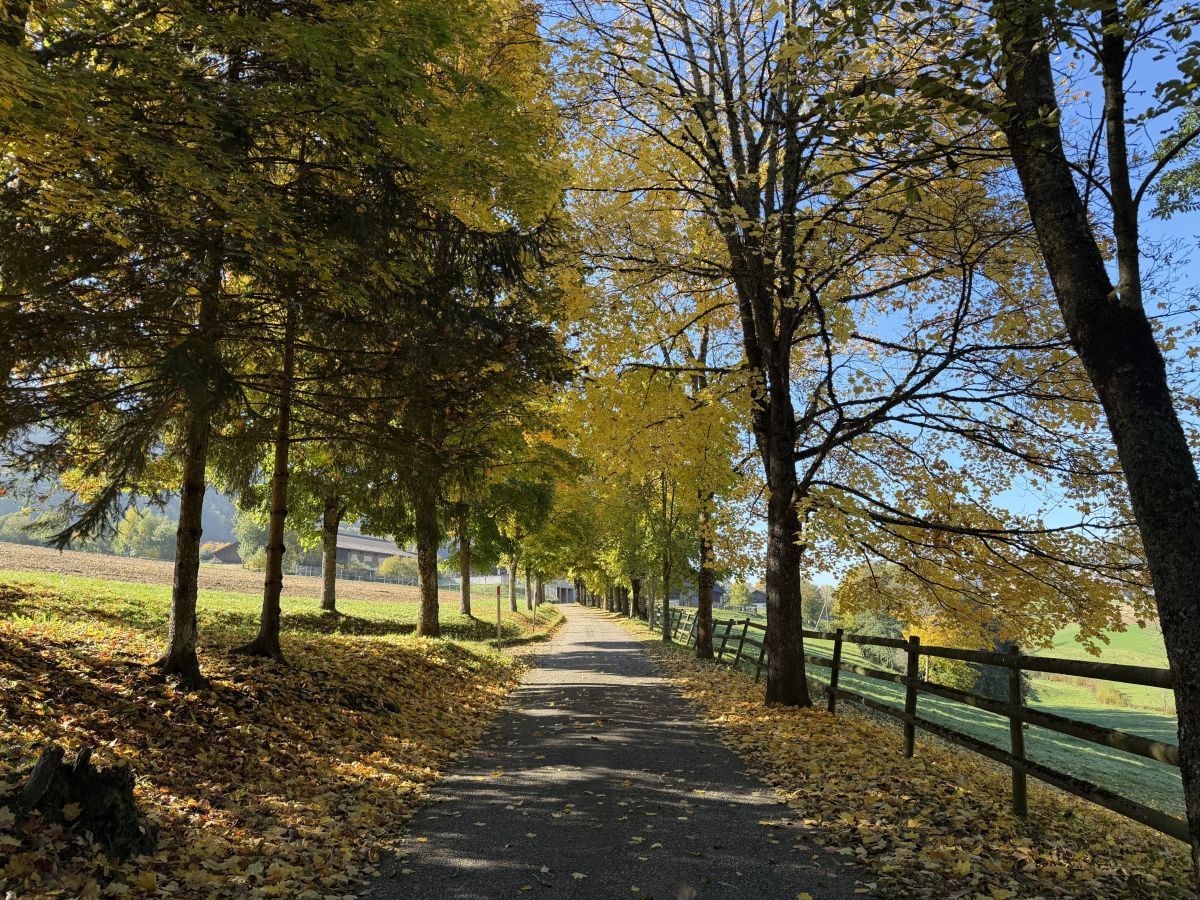 Photos météo à Renan. Prévisions météo avec de superbes photos de SwissEloi