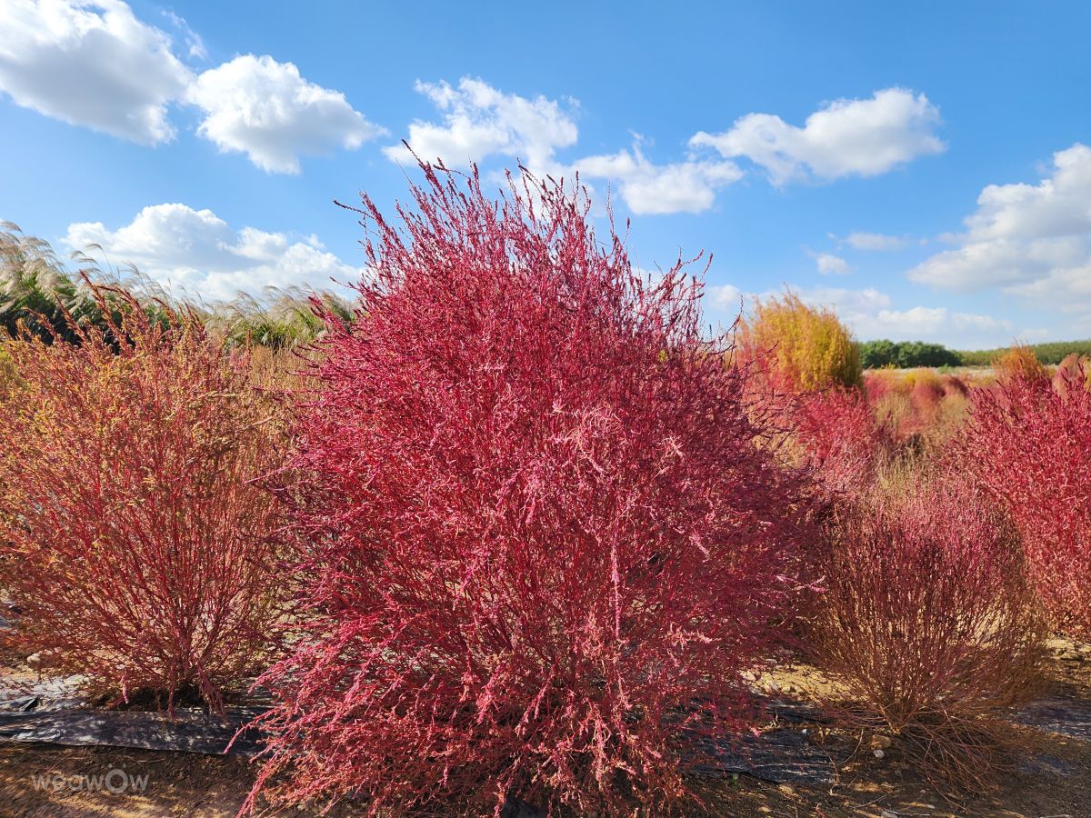 Weather forecasts with beautiful photos by csd