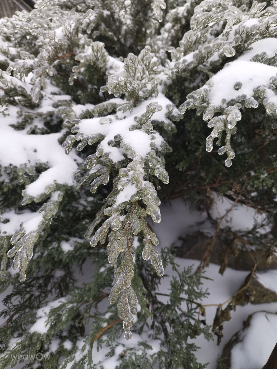 Weather Photos in Ukraine. Weather forecasts with beautiful photos by mikhai