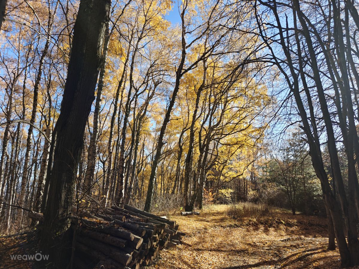 Dự báo thời tiết với những bức ảnh đẹp của Rosiii