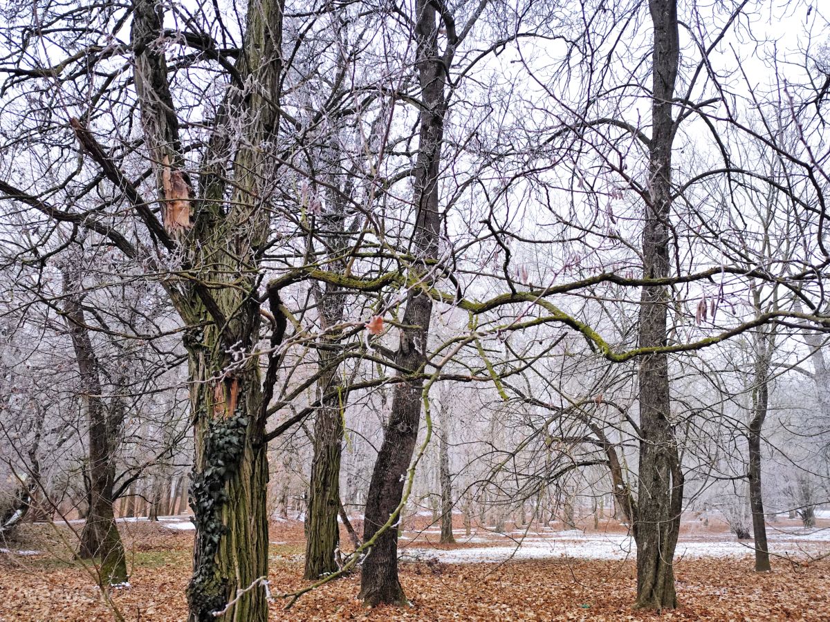 Templomkertの天気写真. sloaraiの美しい写真による天気予報