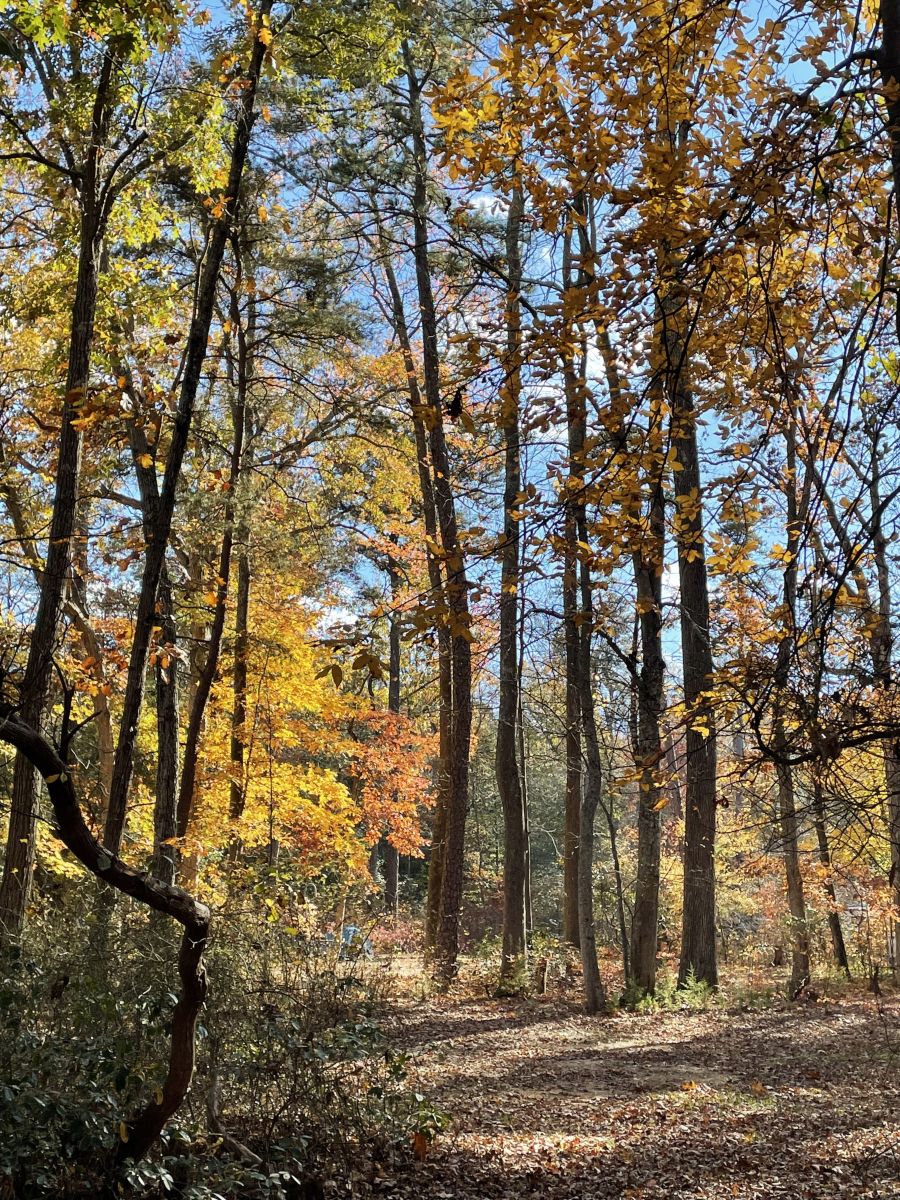 新泽西州的天气照片. 天气预报，带Kristina Elissa Bergman精美的照片