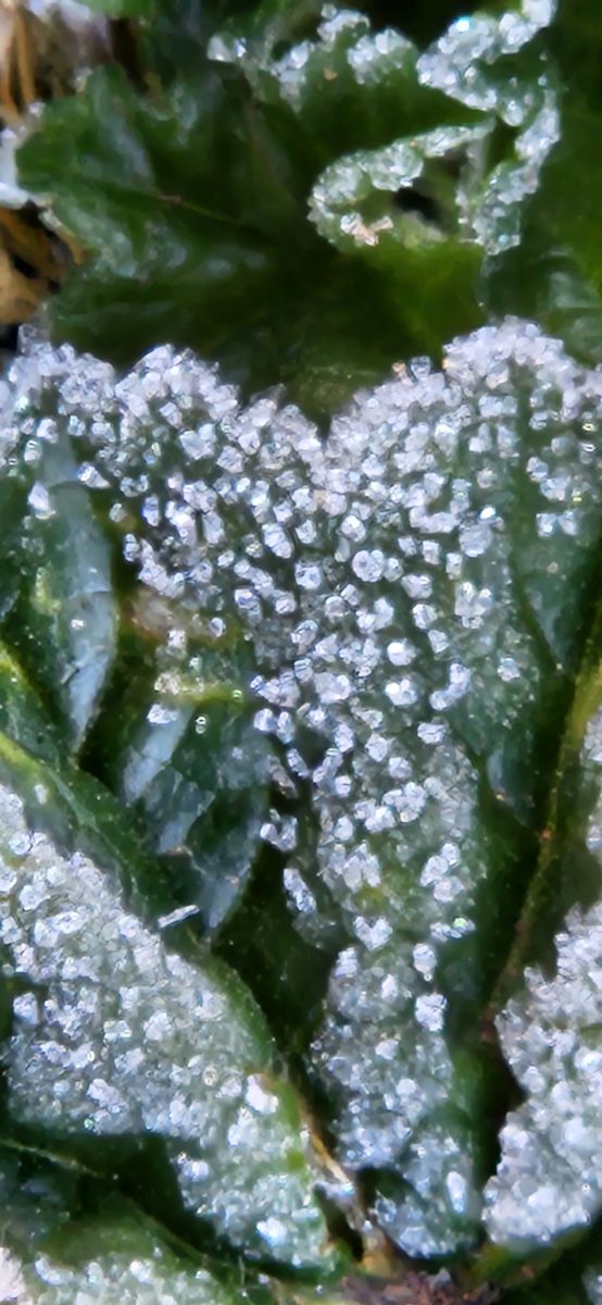 美国的天气照片. 天气预报，带Powerstroke73精美的照片