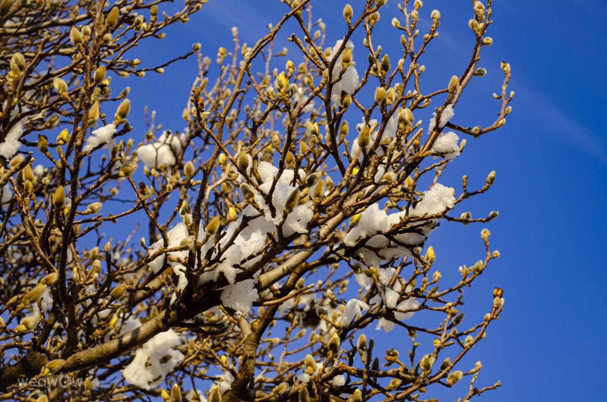 Weather Photos in Veliko Tarnovo. Weather forecasts with beautiful photos by derezina