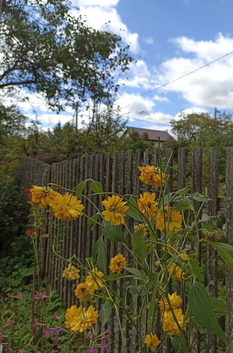 Photos météo à Moscow Oblast. Prévisions météo avec de superbes photos de 19Larisa46