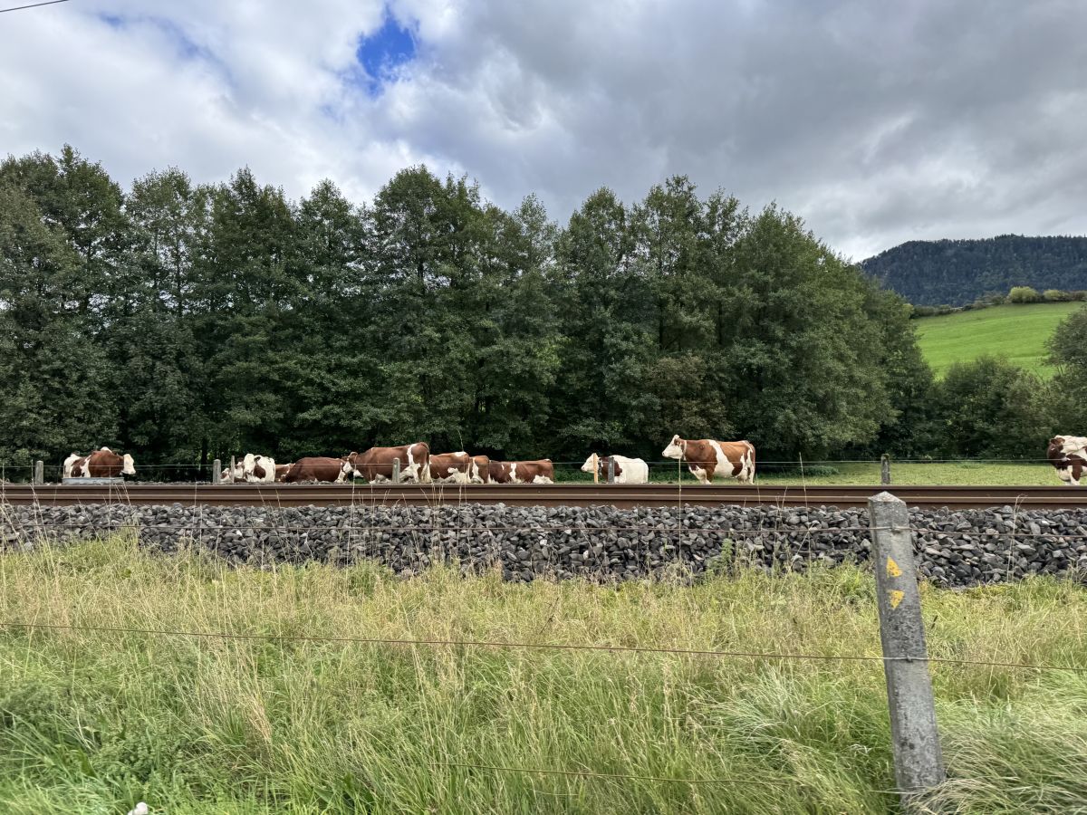 Photos météo à Reconvilier. Prévisions météo avec de superbes photos de SwissEloi