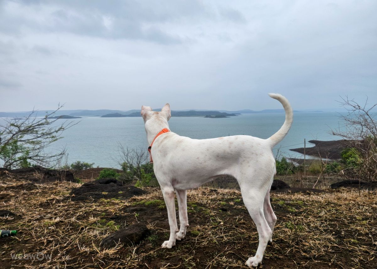 Dự báo thời tiết với những bức ảnh đẹp của Aditya2619c