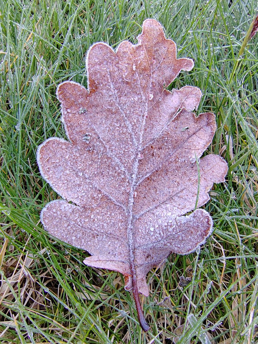 Photos météo à Roza Khutor. Prévisions météo avec de superbes photos de Albert_Smelovtsev