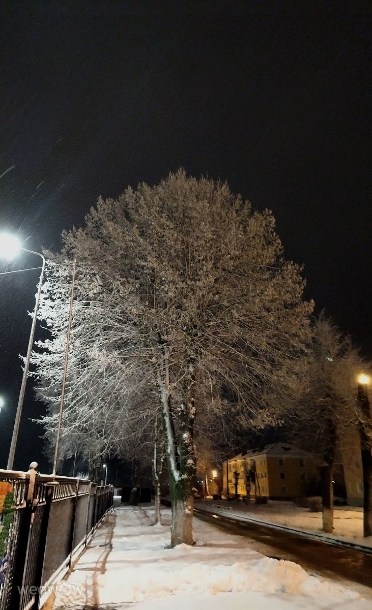 Фотографии Погоды в Тульская Область. Прогнозы погоды с чудесными фотографиями, сделанными Svetlana3