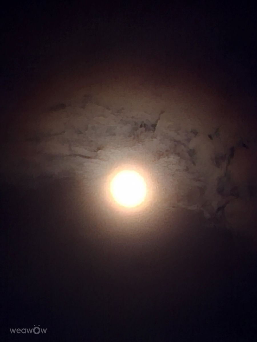 Photographer Wen-ya Huang, Weather Photos in Kaohsiung City - Weawow