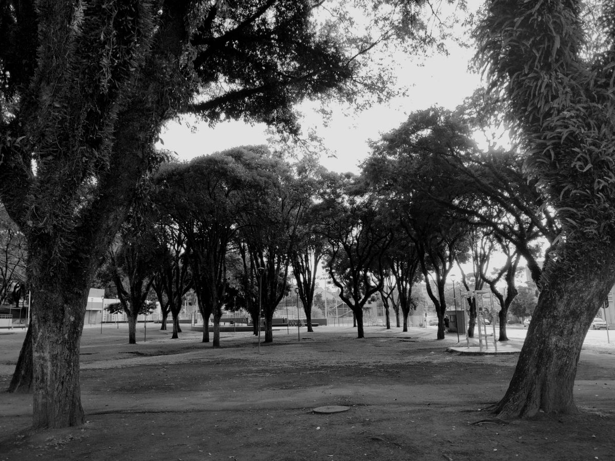 Photographer neconobre, Weather Photos in Curitiba - Weawow