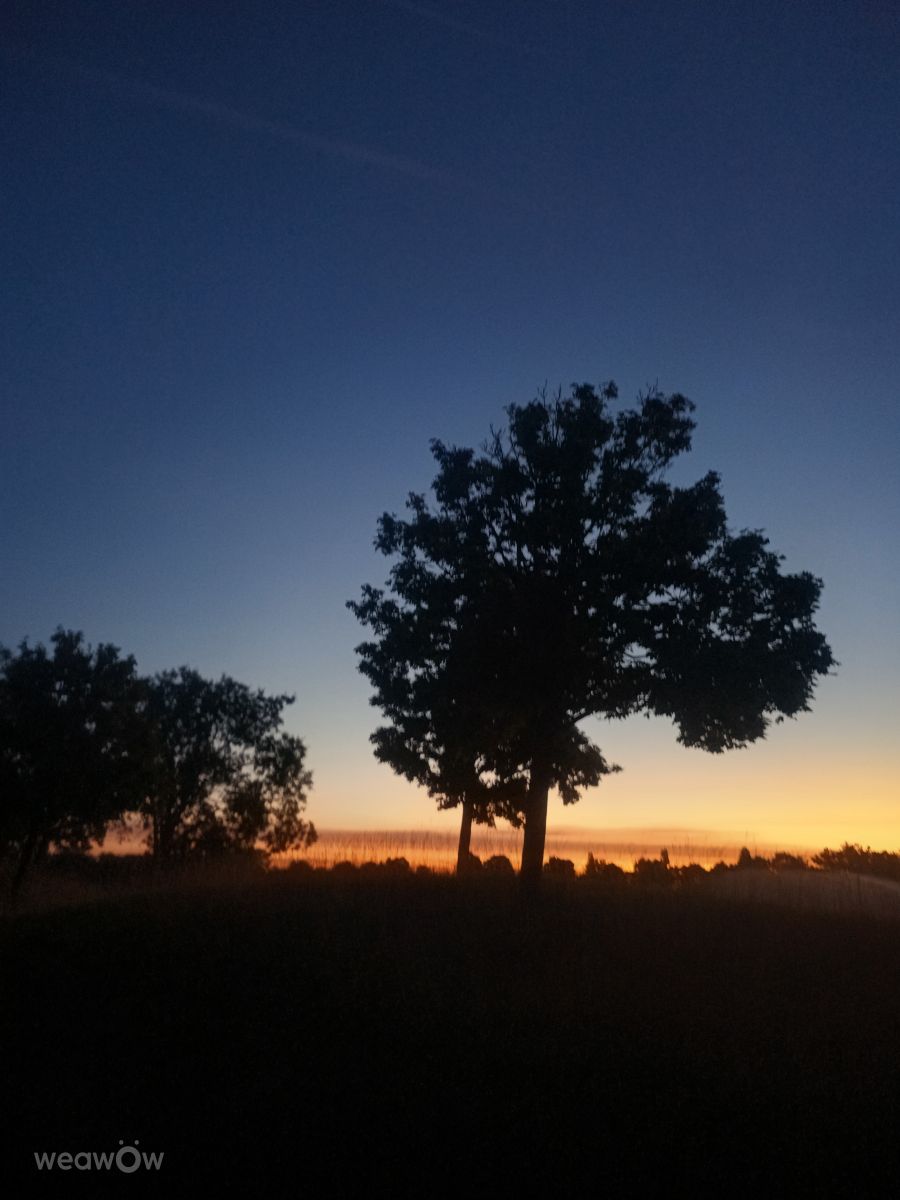 Weather Photos in Oberwaltersdorf. Weather forecasts with beautiful photos by Kripo