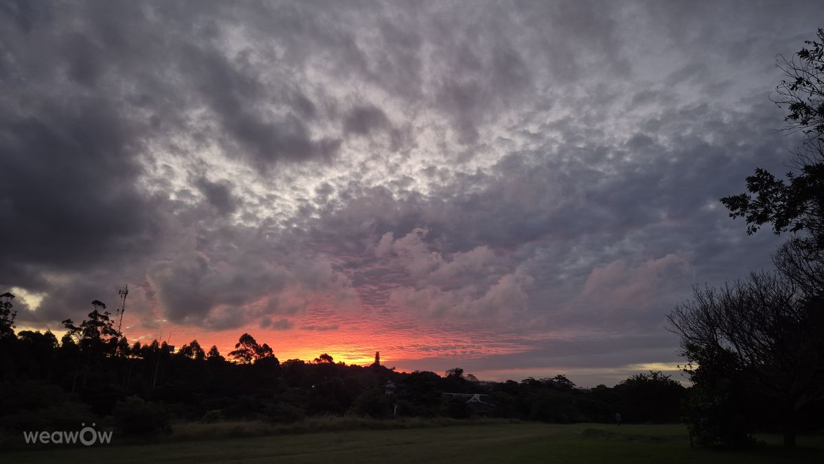 Weather Photos in KwaZulu-Natal. Weather forecasts with beautiful photos by Madelein Zaayman