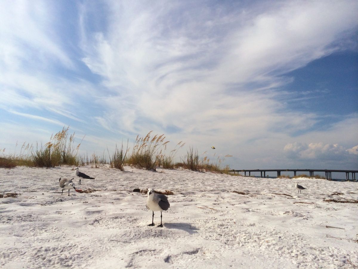 Weather Photos in Florida. Weather forecasts with beautiful photos by Mell3518