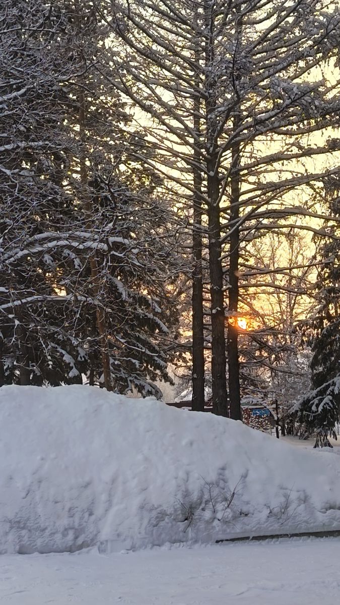 世界の天気写真. ЮлЯШаの美しい写真による天気予報