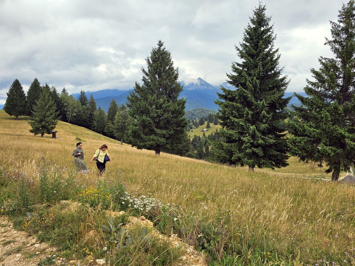 Hình ảnh Thời tiết ở Măgura. Dự báo thời tiết với những bức ảnh đẹp của Liceul Industrial Busteni