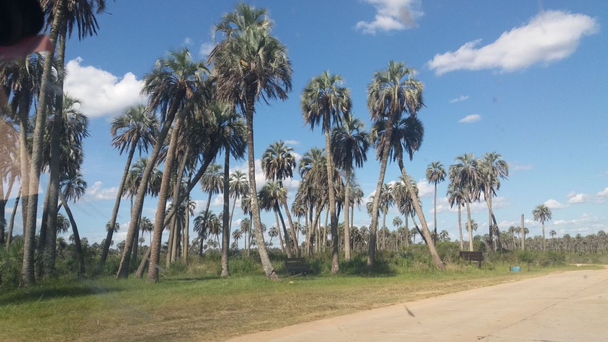 Weather Photos in Entre Rios. Weather forecasts with beautiful photos by Maria Sol Suarez