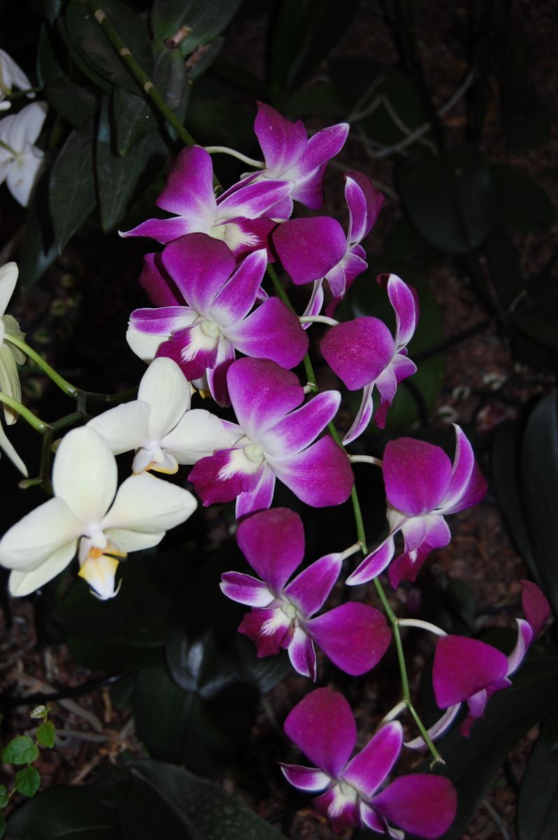 Weather Photos in Palestine. Weather forecasts with beautiful photos by Sviatoslav