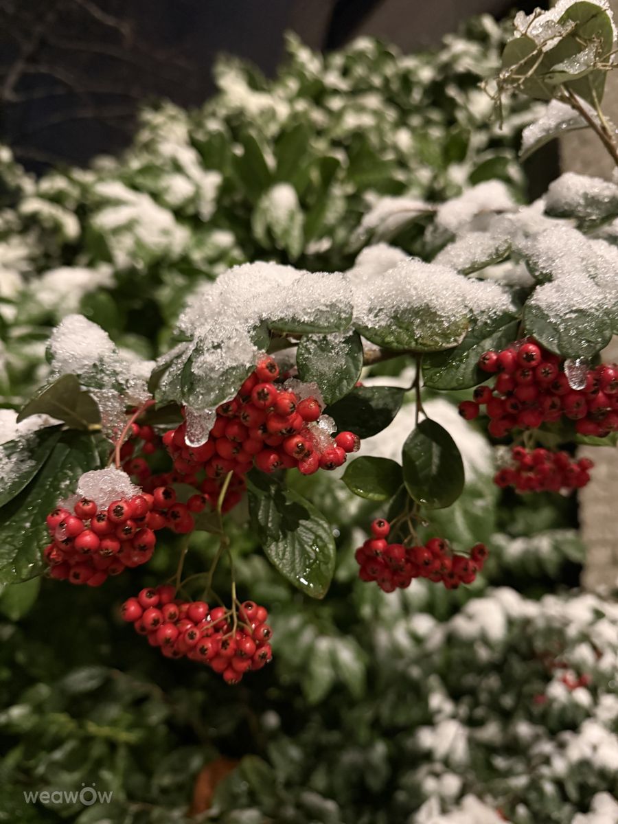 Weather Photos in Hilversum. Weather forecasts with beautiful photos by Oksy