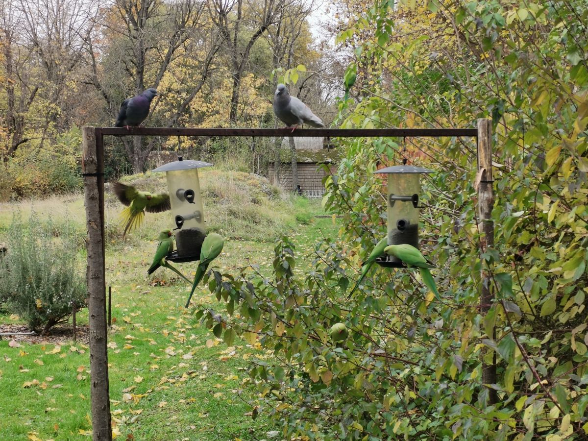 Fotografos NikolayPaunchev, Fotos do tempo em 13 Boulevard de l'Hôpital - Weawow