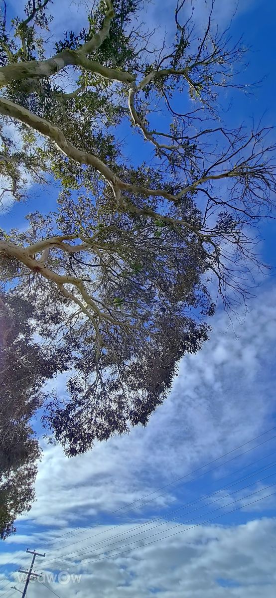 Weather Photos in New Zealand. Weather forecasts with beautiful photos by Barnett-28