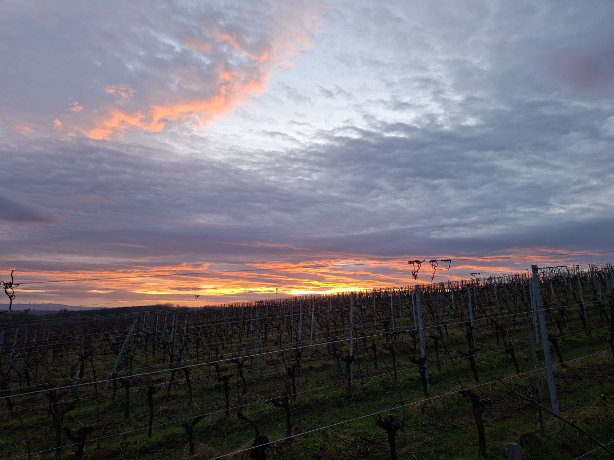 Weather Photos in France. Weather forecasts with beautiful photos by Gaëlle67