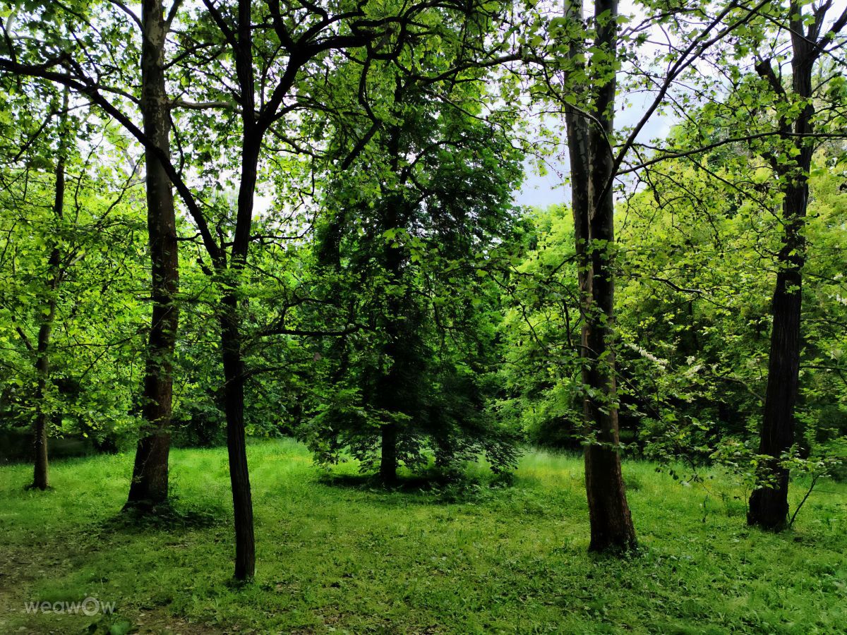 Templomkertの天気写真. sloaraiの美しい写真による天気予報
