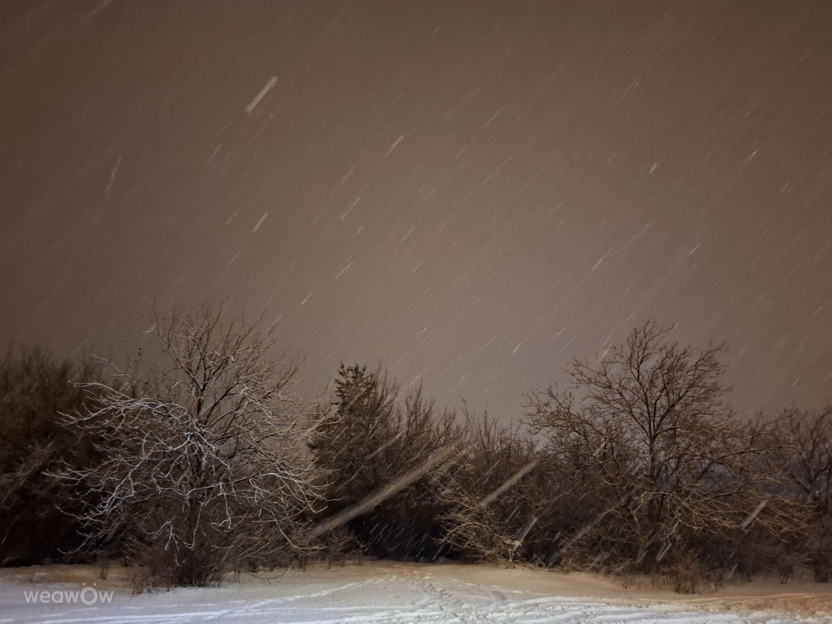 Photographer Iryna, Weather Photos in Kharkiv - Weawow