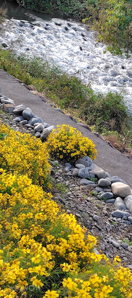 Weather Photos in Honshu. Weather forecasts with beautiful photos by umemui