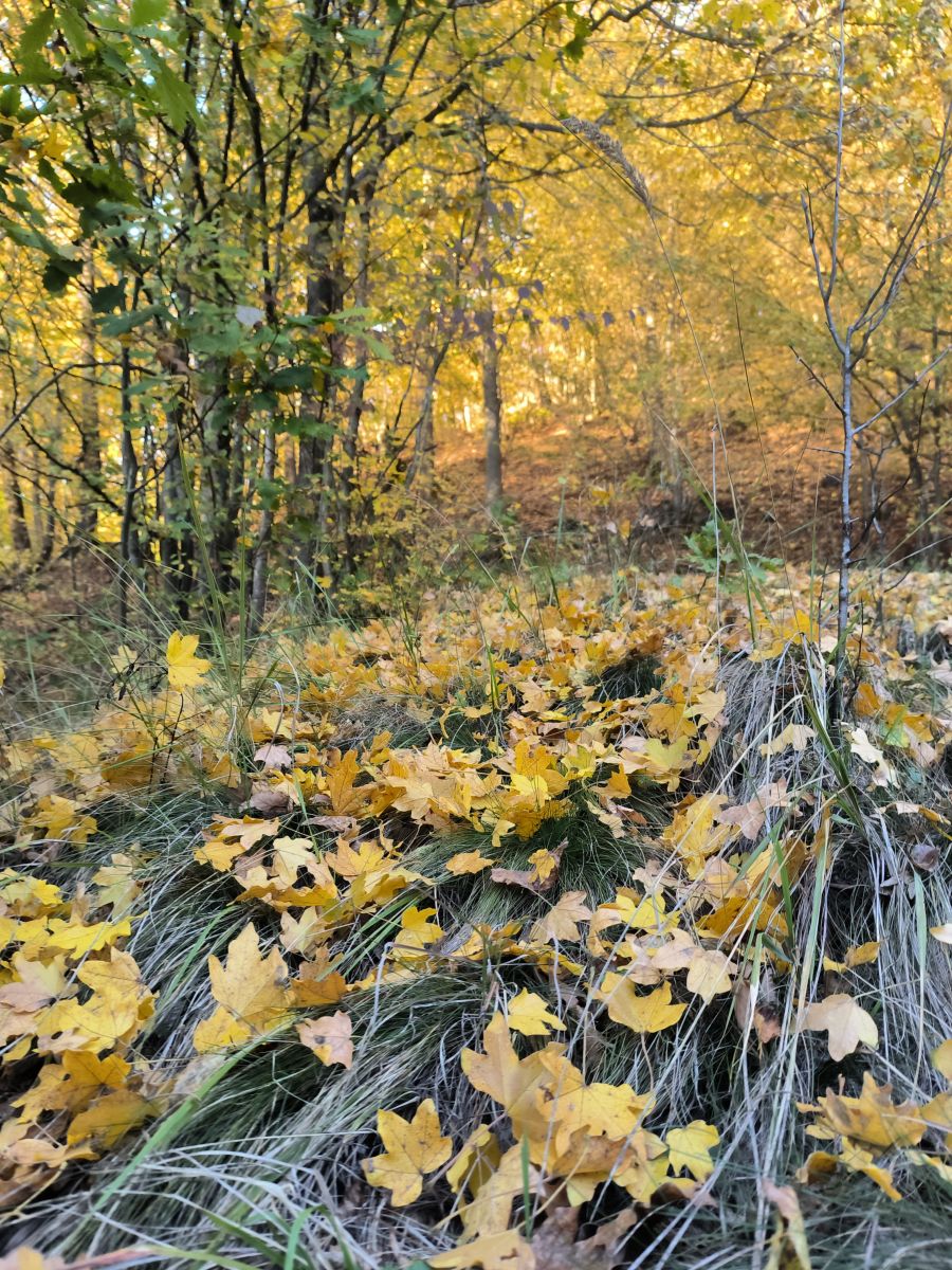 Bradの天気写真. T0NY282の美しい写真による天気予報