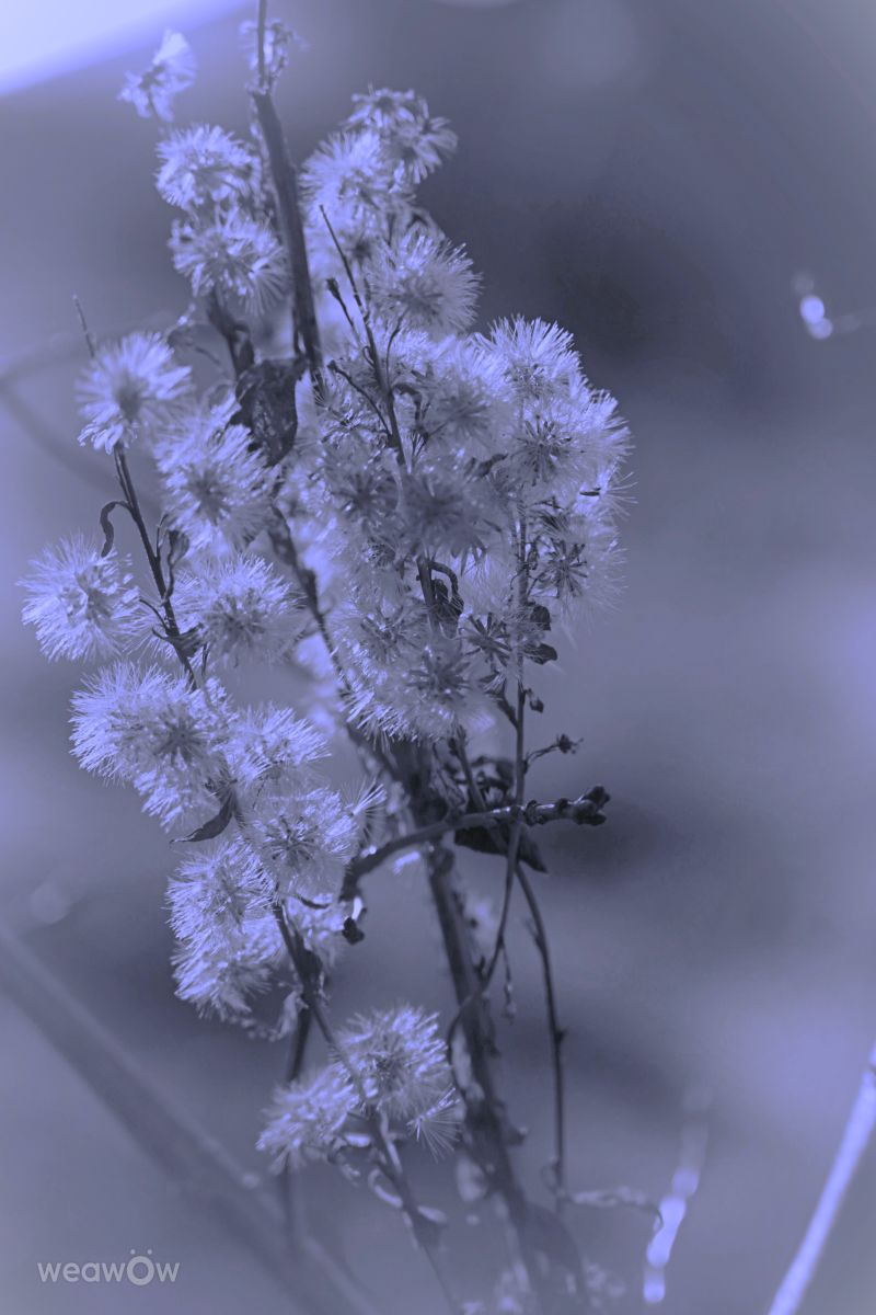 Прогнозы погоды с чудесными фотографиями, сделанными T-Antonio