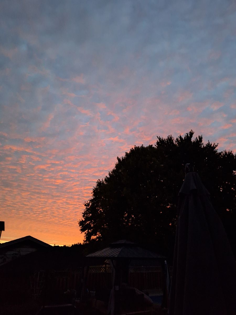 Photographer ccdn0630, Weather Photos in Barrie - Weawow