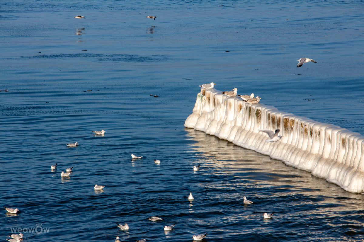Fotos sobre el clima en Zelenogradsk. Pronósticos del tiempo con hermosas fotos de vintilator