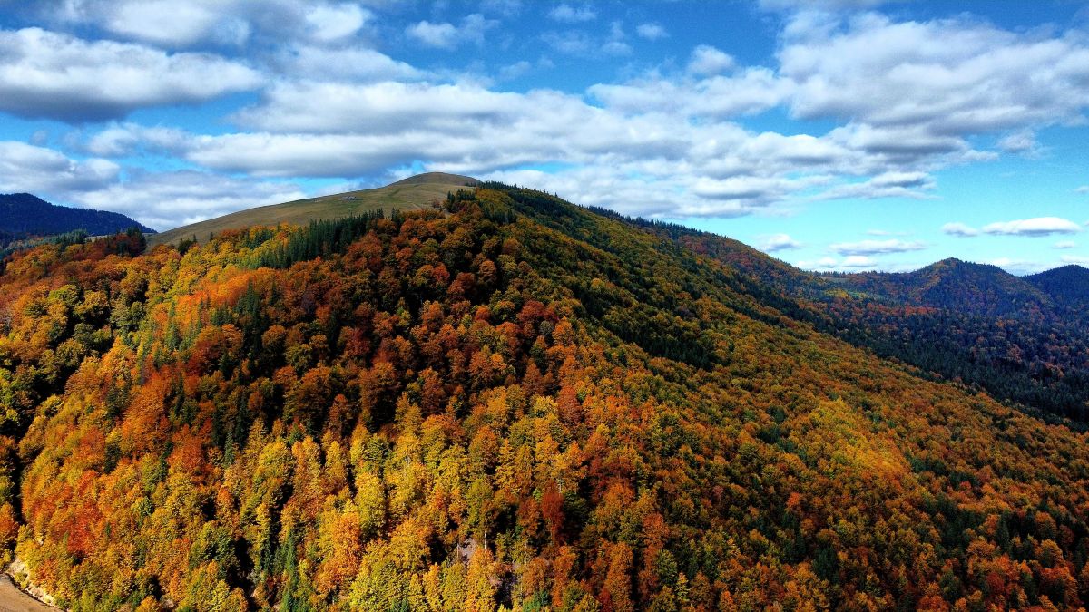 Weather Photos in Oraş Broşteni. Weather forecasts with beautiful photos by Camelyon